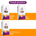 Boost Growth and Fattening Pig Supplement Feed Grade Amino Acids Concentrate Premix for Weight Gain Pig Premix