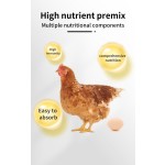 Factory Quality Layer Concentrate Premix Feed for Hen Boost More Eggs and Promote Healthy 5% Layer Premix