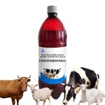 Healthy Animal Feed Ruminant Feed Additives for Cattle Regulating the Intestines