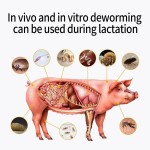High Quality Livestock and Poultry Feed Grade Amino Acids Premix Affordably Priced Animal Vitamin Powder