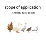 Wholesale Price Nutritional Additives Poultry Vitamins Growth Promoter Feed Additives