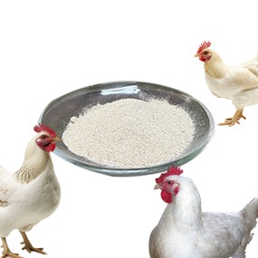 Broilers Premix Feed Formula Animal Feed Grade High Protein Chicken Concentrate Premix Enzyme Type