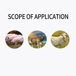 High Quality Livestock and Poultry Feed Grade Amino Acids Premix Affordably Priced Animal Vitamin Powder