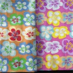 Organic Cotton Flannel Factory - Printed Twill Baby