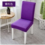 Polyester Crepe Fabric Supplier - Crushed Plain Stretch