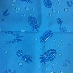 Printed Microfiber Fabric Supplier - Umbrella Rain Jacket