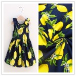 Rayon Woven Fabric Manufacturer - Custom Dress Blouse