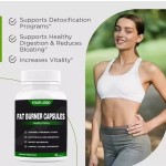 Slimming Capsules Factory - Fat Burning Supplement Manufacturer