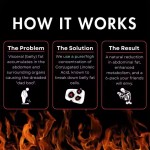 Mens Weight Loss Capsules Supplier - 300mg Fat Burning Supplement