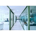 Slimming Capsules Factory - Natural Ingredients Fat Burner OEM