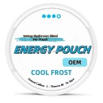 Caffeine Pouches Supplier - 100mg Energy Nootropic Custom Flavors