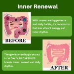 Weight Loss Capsules Factory - 300mg Seed Powder Slimming Supplement