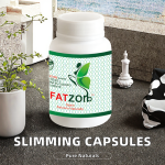 Slimming Capsules Factory - Natural Ingredients Fat Burner OEM