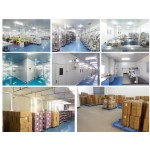 Detox Capsules Supplier - Halal Certified Weight Loss Pills OEM