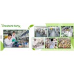 D-Pinitol Powder Factory - 95% Purity Best Price