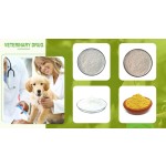 NMN Powder Manufacturer - 99% Pure Nicotinamide Mononucleotide