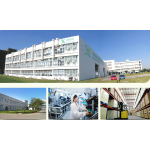 PQQ Powder Supplier - Pyrroloquinoline Quinone Disodium Salt