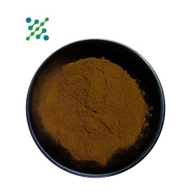 Probiotics Powder Factory - Lactobacillus Plantarum Food Grade