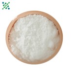 Citrus Aurantium Powder Manufacturer - Synephrine HCL Extract