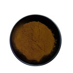 Tongkat Ali Extract Supplier - OEM Capsule Custom Formula