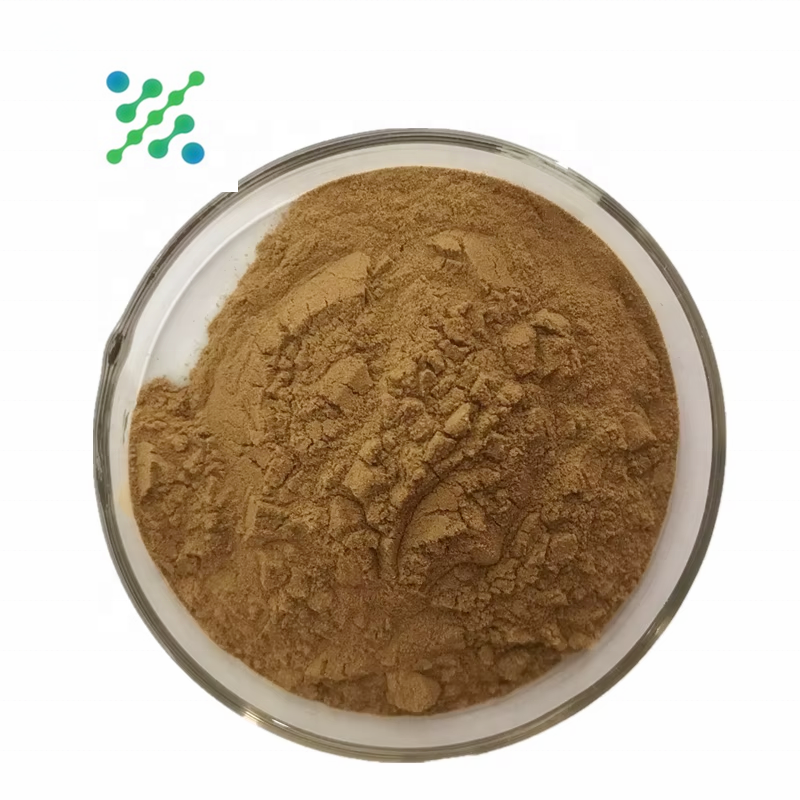 Monk Fruit Extract Supplier - Luo Han Guo Powder OEM