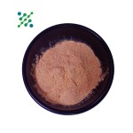 Smilax Extract Manufacturer - Ubi Jaga for Men Custom