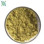 Quercetin Powder Factory - 98% Organic Extract Free Sample