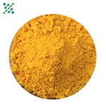 Curcumin Powder Supplier - 95% Turmeric Extract Organic
