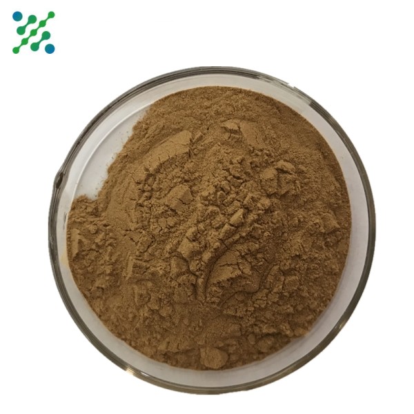 20-Hydroxyecdysone Factory - 40-98% Plant Extract Bulk