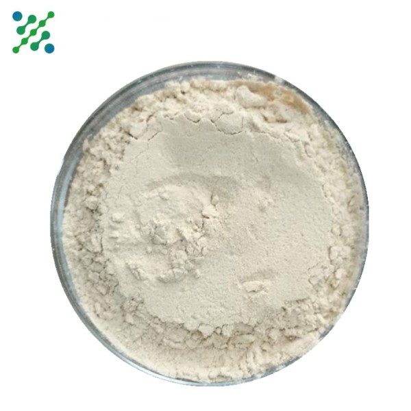 Asiaticoside Powder Manufacturer - 70-80% Gotu Kola Cosmetic