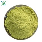 Quercetin Powder Factory - 98% Organic Extract Free Sample