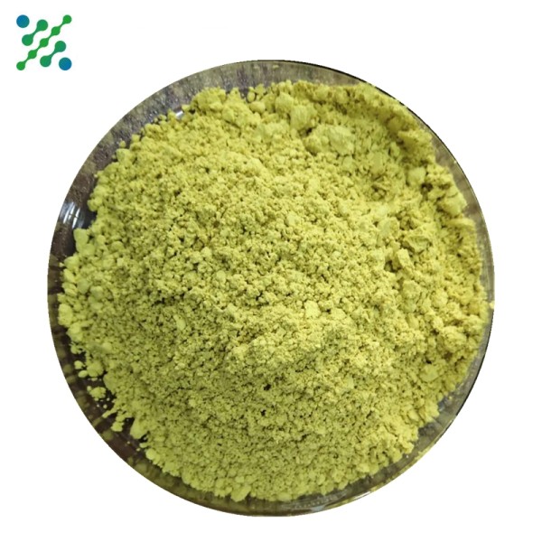 Quercetin Powder Factory - 98% Organic Extract Free Sample