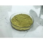 Fisetin Extract Powder Factory - 98% Purity Bulk Wholesale