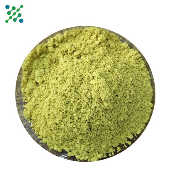 Fisetin Extract Powder Factory - 98% Purity Bulk Wholesale