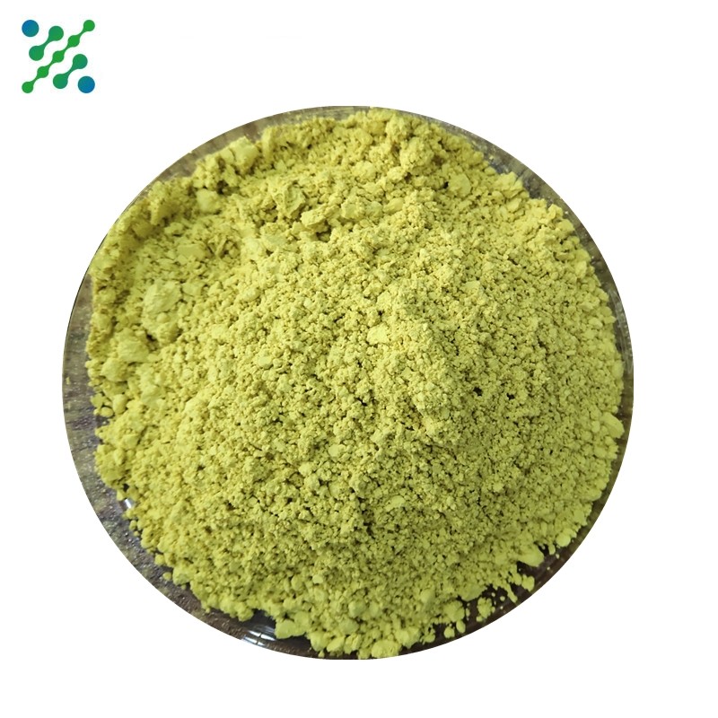 Fisetin Extract Powder Factory - 98% Purity Bulk Wholesale