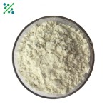 Pumpkin Protein Powder Manufacturer - 60% Vegan Protein