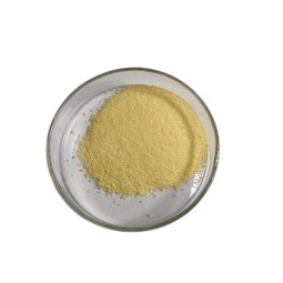 NMNH Powder Manufacturer - Enzyme Catalysis 98% Purity