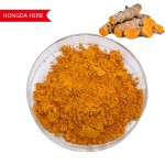 Turmeric Extract Supplier - 95% Curcumin ISO Certified