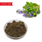 Turkesterone Powder Supplier - 2% Herbal Extract OEM