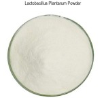 Monk Fruit Sweetener Manufacturer - 10:1 20:1 Extract Powder