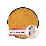 Riboflavin 5-Phosphate Manufacturer - Sodium CAS 130-40-5