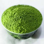 Matcha Tea Powder Manufacturer - 100% Pure Organic