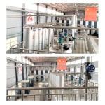 Shiitake Mushroom Extract Manufacturer - 30% Polysaccharides