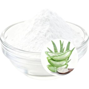 Aloe Vera Extract Supplier - 100:1 Powder Capsules