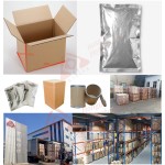 Sea Buckthorn Powder Manufacturer - Fruit Powder Vitamin C