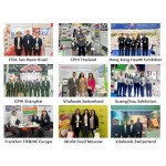 Kiwi Juice Powder Manufacturer - Best Price Fruit Extract