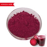 Lion's Mane Powder Factory - Custom Packaging Extract