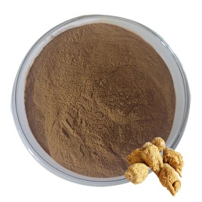 Tongkat Ali Extract Factory - 200:1 Capsules Custom