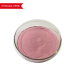 Guava Juice Powder Manufacturer - Best Price Extract