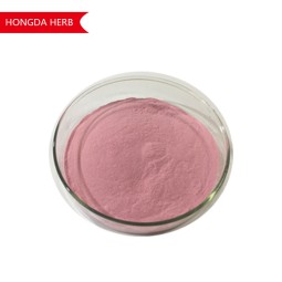 Guava Juice Powder Manufacturer - Best Price Extract